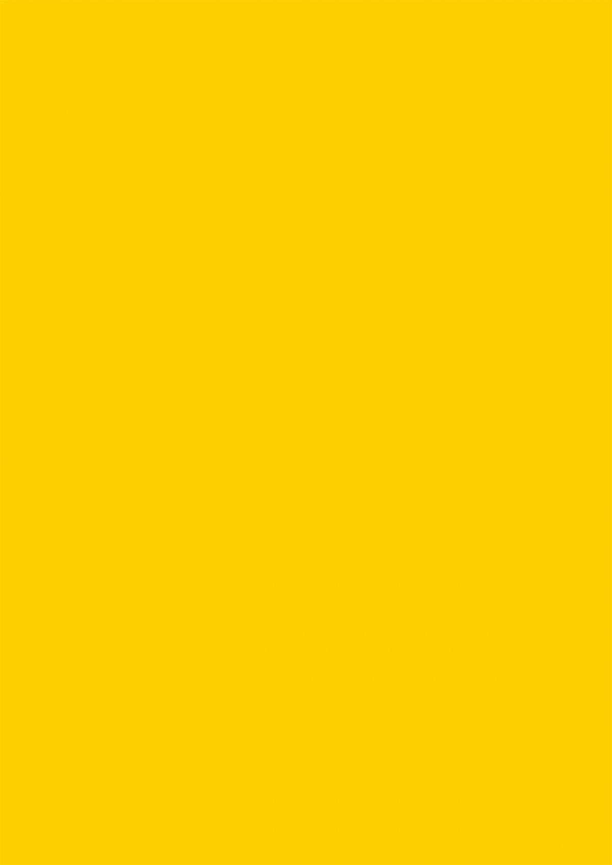 0010 Mango